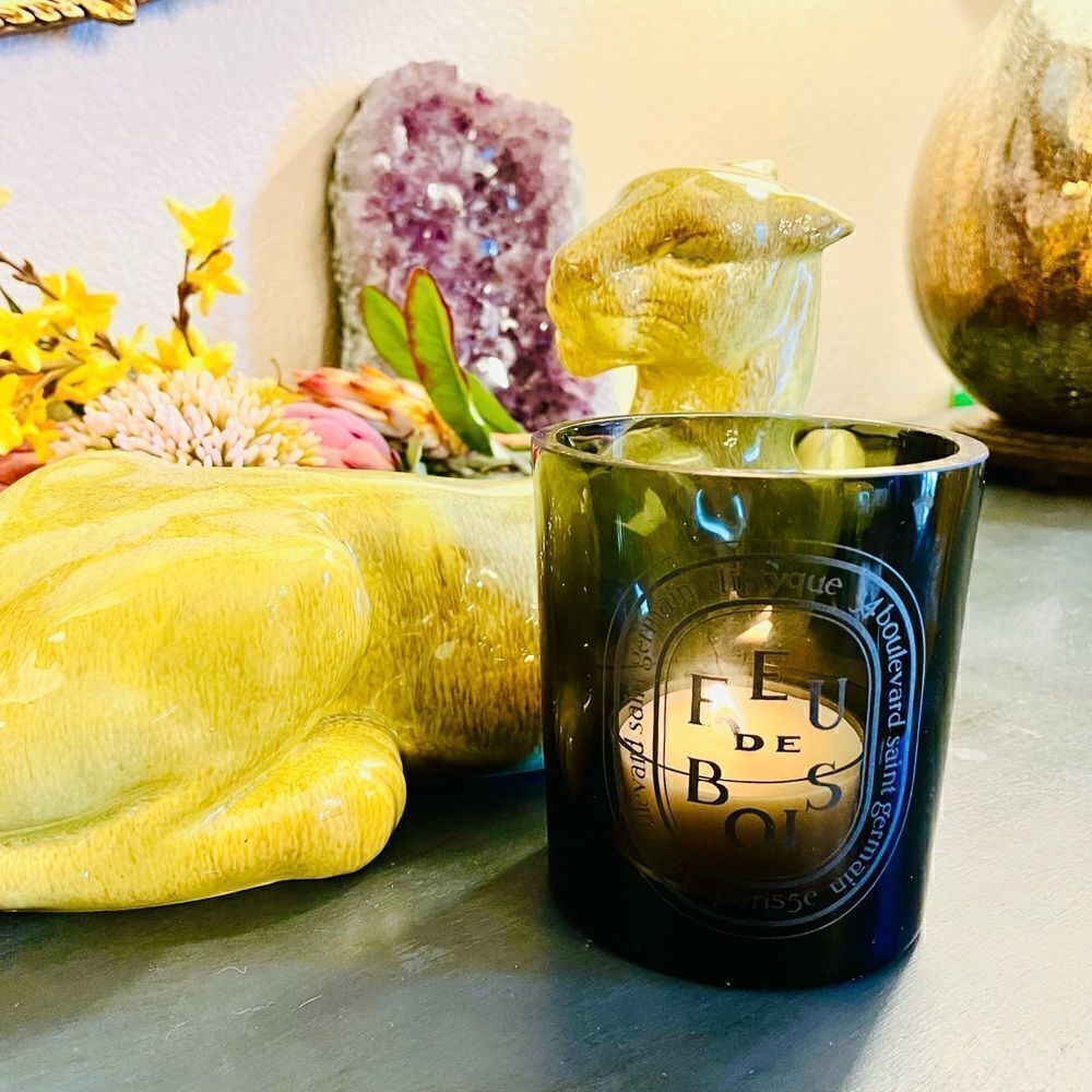 ♥️ Diptyque Feu de Bois / Wood Fire Candle smoked glass candle CONTAINER…